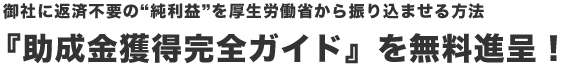 助成金獲得完全ガイドを無料進呈！